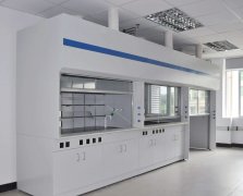 淺談實驗室通風柜的性能與要求